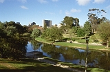 722_Adelaide, langs de rivier - een vogelrijke plek